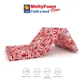 MoltyFirm Fold-a-Bed. 