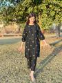 Premium Linen Embroidered Ladies Stitched Suit | Women’s 2-Piece casual Dress | Comfortable Linen Fabric | Embroidery Work for Women | Ready-to-Wear Pakistani Dress | Elegant Designer Outfit | Summer Collection 2025 | Stitched Ladies Suit | Premium Qualit. 