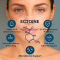 Ectoine Powder 60g Skin Care, Cosmetic Grade. 