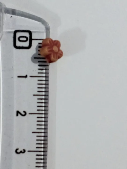 Brown%20Cute%20Tiny.%20Flower%20Plastic%20Beads%20%E2%80%93%20Pack%20of%2040gms.%20Versatile%20for%20DIY%20Jewelry,%20Craft%20Projects,%20Dress%20Accessories,%20Home%20Decorative%20Ideas.%20-%20Image%202