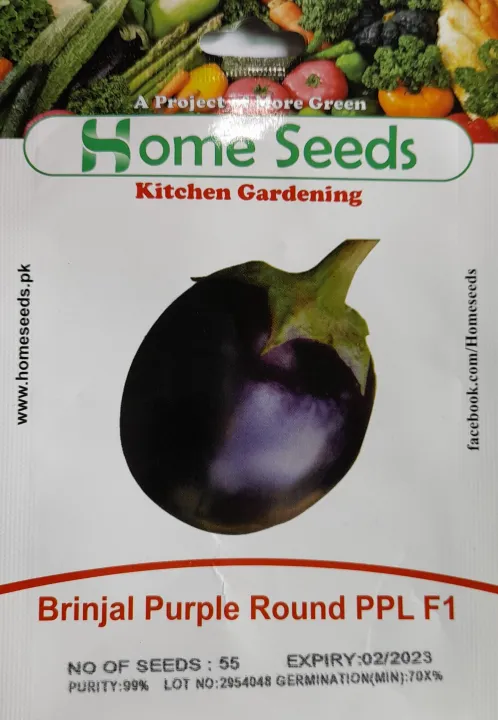 Seeds-%20Brinjal%20Round%20Purple%20PPL%20F1%20Hybrid%20-%20Image%203