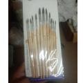 Paint Brushes Professional Quality Flat Tip Round Tip Angular Tip Fan Brushes Best For Artists 12Pcs Round Pointed Tip Paintbrushes. 