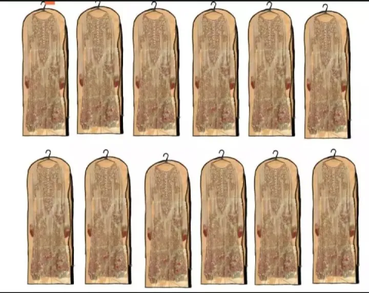 54%20Inches%20Dress%20Cover%20/%20Garments%20bag%20/%20Clothes%20Cover%20Case%20Dustproof%20for%20Clothes%20/%20Suit%20Clothing%20Protector%20/%20Zipper%20Bag%20/%20Wardrobe%20Organiser%20/%20Garment%20Bags%20/%20Dress%20Covers%20-%20Image%205