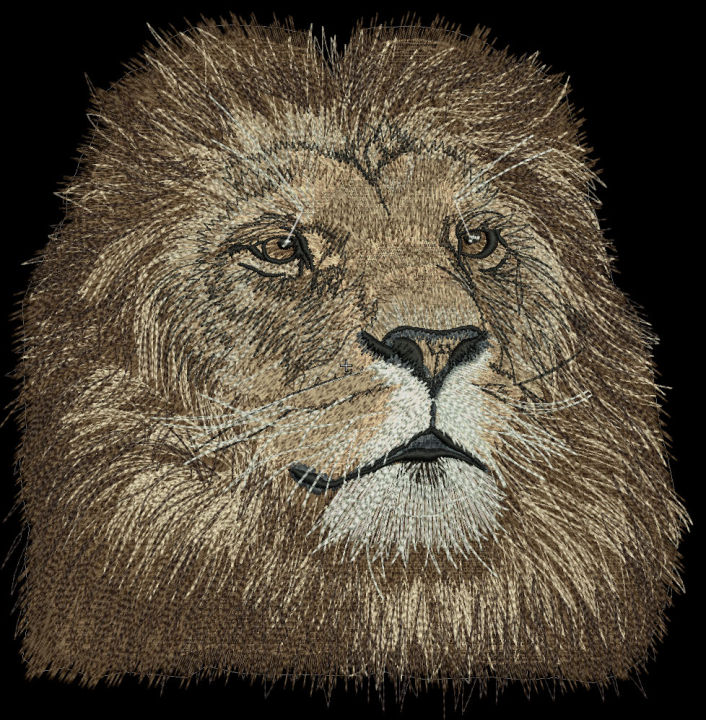 Wilcom%20Embroidery%20studio%20e4.2%20Software%20Remote%20Installation%20-%20Image%206