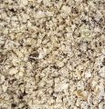 Moringa Oleifera Seed Powder - All Natural - 50 gm. 