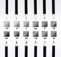 12 Professional Sketch and Drawing Pencils - Art Pencils - Drawing Pencil Kit pack of 12 - 8B to 2H - Graphite Pencils for beginners and Pro Artists. 