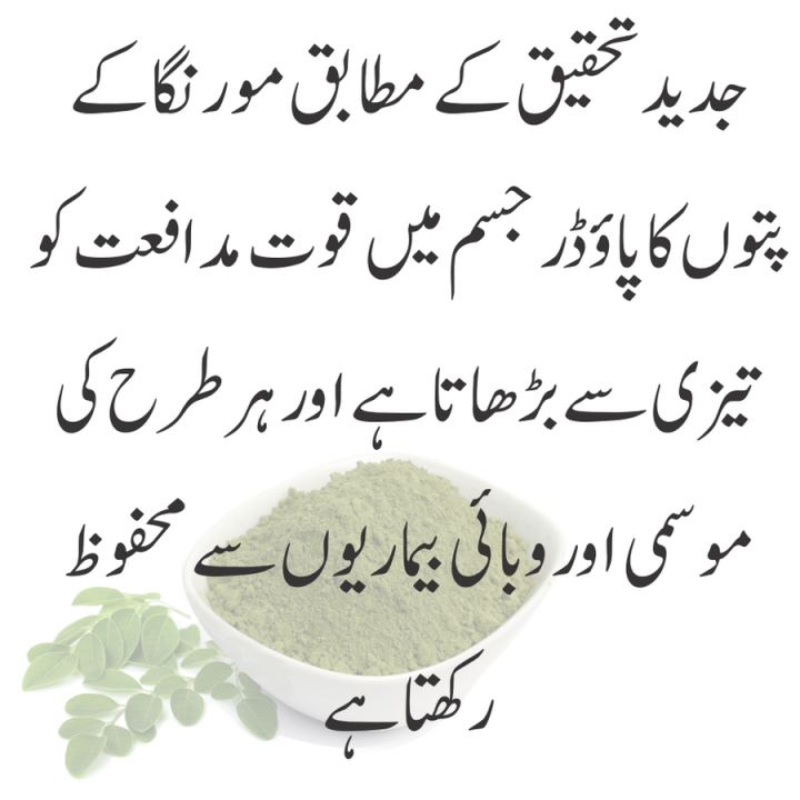 Moringa%20Pakistan:%20Moringa%20Oleifera%20Powder%20Buy%20100%25%20Pure%20300g%20-%20Image%204