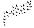 30-Piece Wooden Butterfly Wall Stickers – Peel & Stick Reusable Black Butterflies for Nursery, Bedroom, Classroom Decor – Natural Eco-Friendly Wall Art for Kids, Teens, Home Aesthetic & Party Backdrops. 