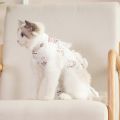 Post-surgery Cat Apparel Soft Breathable Cat Surgery Recovery Suit Cartoon Pattern Anti-lick Jumpsuit for Neutering Weaning Adjustable Strap Postoperative Care Clothes Cat Neutering Suit. 