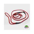 Leash For Dog - 6 Feet. 