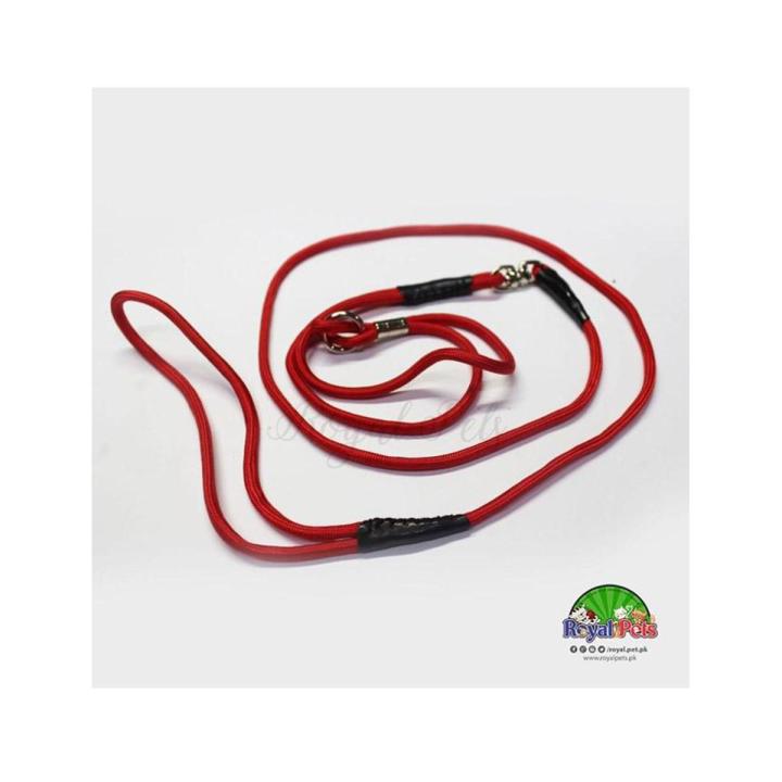 Leash For Dog - 6 Feet