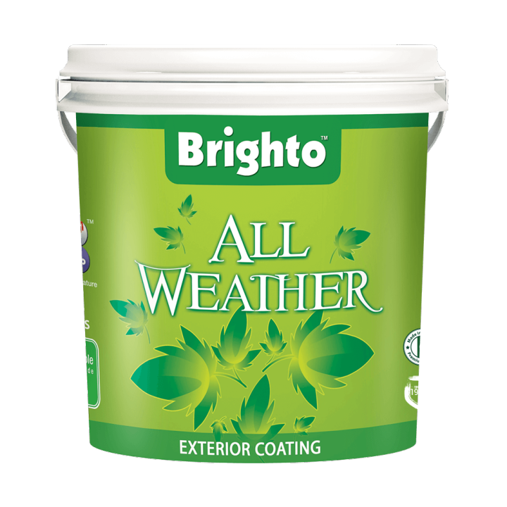 Brighto Paints All Weather Drum