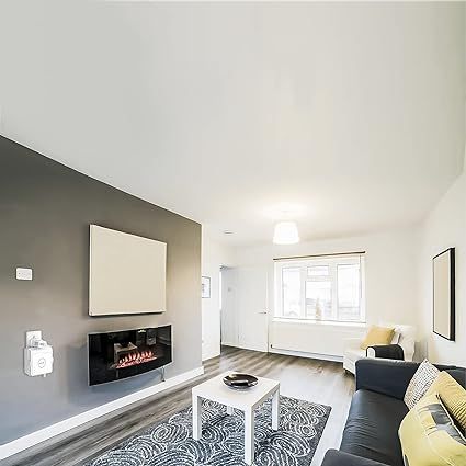 Hive%20Hub%20Wall%20Mount%20Outlet%20Mount%20for%20Hive%20Wireless%20Smart%20Home%20Automation%20Hub%20Controller%20by%20HOLACA%20-%20Image%207