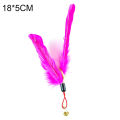 Pet Cat Playing Stick Feather Bell Replacement Head Scratch Interactive Toy. 