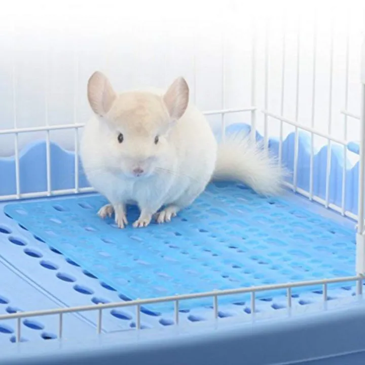 Yfashion%20Plastic%20Pet%20%20Foot%20%20Mat%20For%20Rabbit%20uinea%20%20nchilla%20Foot%20Pad%20Soleplate%20For%20Pets%20color:blue%20specification:Rabbit%20foot%20pad%2034*25cm%20-%20Image%206