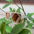 Transparent frame sunglasses with black and Brown lens High Quality Glasses frame for Unisex. 