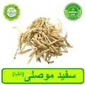 Safaid Mosli | 50 Gram |. 