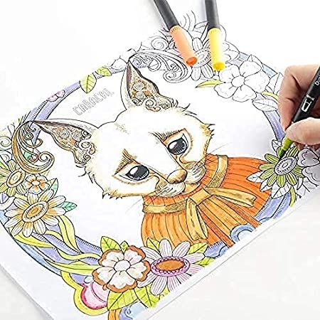 12%20Colour%20Dual%20Tip%20Brush%20Marker%20Pen,%20Colored%20Pen%20Fine%20Point%20Art%20Marker%20&%20Brush%20Highlighter%20Pen%20for%20Adult%20Coloring%20Hand%20Lettering%20Writing%20Planner%20Art%20Supplier(12%20Colors%20Pen%20Set)%20-%20Image%205