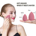 4 PCS Makeup Sponge Blender Set, Professional Beauty Sponge Foundation Blending Blender with Egg Case Makeup Puff Flawless for Cream, Powder and Liquid. 