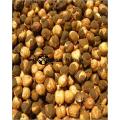 Dry Roasted Chana ( Bhuna Chana) - 1000 gm. 