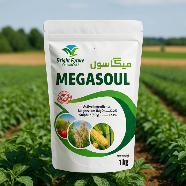 Magasol Rut Megasol Magnesium Sulphate best for all crop fruit and Vegetables ...