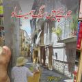 Jo Bachee Hain Sang Sameeth lo Urdu novel by Ferhat Ishtiaq. 