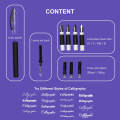 Keep Smiling Arabic Calligraphy Pen Set Calligraphy With 1pc Pen Holder & 4pcs Pen Nibs With 3pcs Inks. 