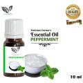 Peppermint Essential Oil - 10 ml – Pakistan Pansar Peppermint Essential Oil 100% Pure & Natural – Undiluted. 