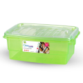 Appollo Clear Lock Storage Box (S). 