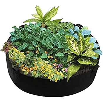 Large%20Fabric%20Grow%20Bag%20%20/%20Plant%20Bag%20/%20Planter/%20Plant%20Pot%20for%20Growing%20Vegetables%20and%20Flowering%20Plants%20-24%20Gallons%20-%2024%20inches%20diameter%20x%2012%20inches%20depth%20-%20Fabric%20Pots%20/%20Fabric%20Grow%20Bags%20for%20Rooftop%20Gardening%20-%20Image%205