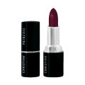 Christine Princess Lipstick - Shade 120. 