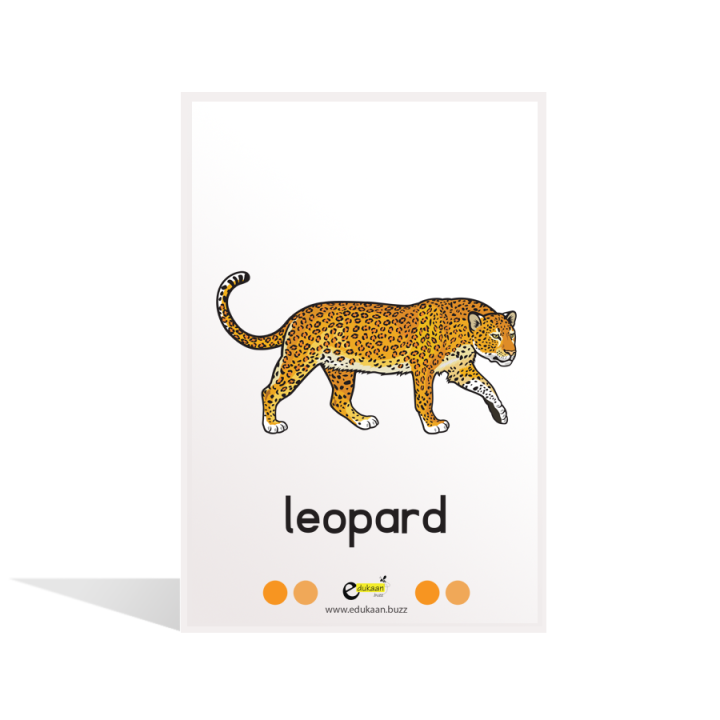 WILD%20ANIMALS%20(ANIMATED)%20FLASH%20CARDS%20-%208014%20-%20Image%202