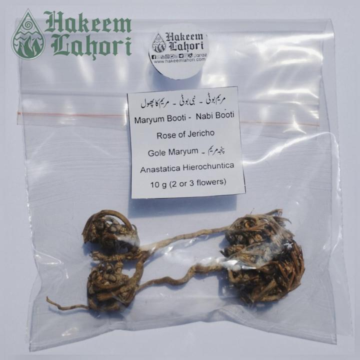 Maryum Booti مریم بوٹی Nabi Booti نبی بوٹی Rose of Jericho پنجہ مریم Anastatica Hierochuntica (10-g , 2-3 flowers)