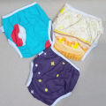 Reusable Training Pants Diapers Pack Of 3. 