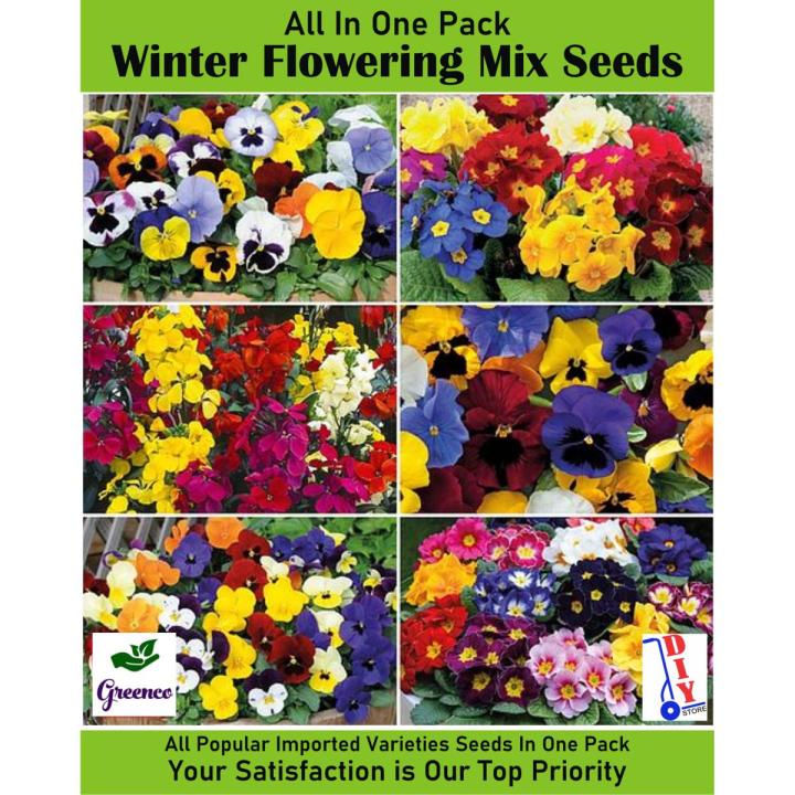 All in One Winter Flowering Imported Seeds Pack