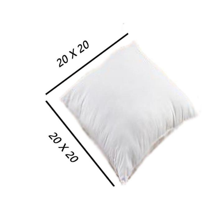 20 x 20  Cushion  Filling