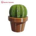 Unique Toothpick Dispenser 3d Printed Cactus Toothpick Holder Cute Succulents Toothpick Dispenser for Kitchen Decor Home Gadgets from Multifunctional Toothpick Organizer. 
