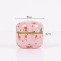 Seal Japanese Tea Packaging Box Scented Tea Household Tea Can Universal Iron Box. 