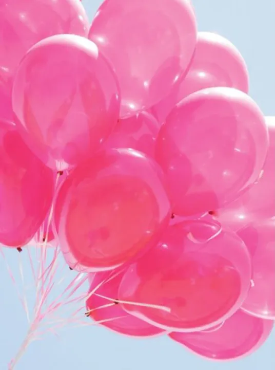 Pink%20&%20Silver%20Color%20Perfect%20Combination%20Birthday%20Party%20Theme%20(%20Deal%20Code-102%20)%20-%20Image%205