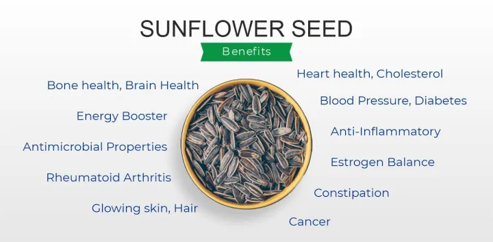 HERBAL%20FRESH%20Sunflower%20SeedsSurajmukhi%20ke%20Beej,%20Raw%20Sunflower%20Seeds,%20Helianthus%20Annuus%20Flower%20Seeds,%20High%20Protein%20&%20Fiber%20Rich%20Food,%20200gms%20-%20Image%202