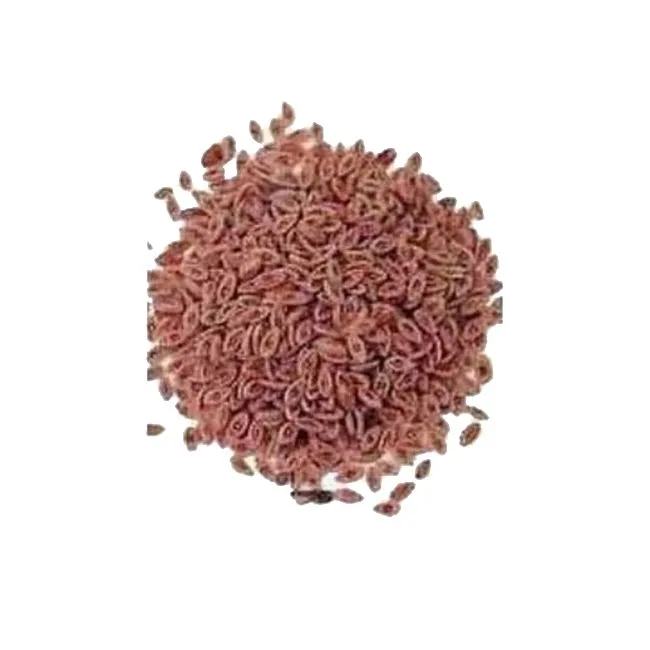 Sabut%20Ispaghol,%20Isabgol%20sabat,%20Psyllium%20%2040gram%20-%20Image%203