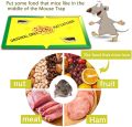 Large Mouse Glue Pad Traps with Enhanced Stickiness, Rat Mouse Traps, Sticky Pad Board. 
