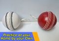 Hanging Practice Ball with and without elastic/rope Hangable Practice ball for Shots Practice Indoor Hangable Practice Ball to play cricket by your own | by Partners Collections. 