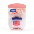 4/6/8Pc Transparent Moisture Lip Balm Fruit Plant Essence Hydrating Lip Mask Lipstick Primer Lip Care. 
