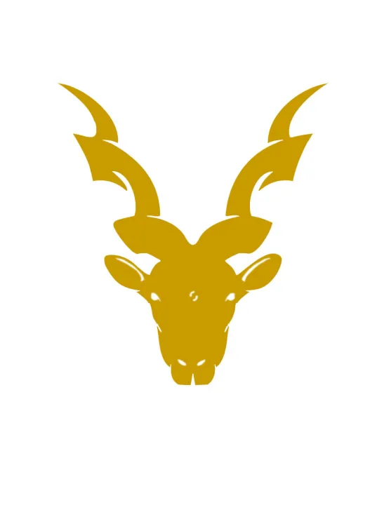 Golden%20Markhor%20Sticker%20Pack%20of%202,%20For%20Car,Golden%20markhor%20sticker%20for%20car,%20Golden%20markhoor%20sticker%20for%20bike,%20Truck,%20Notebook,%20Laptop%20Vinyl%20Decal%20-%20Image%204