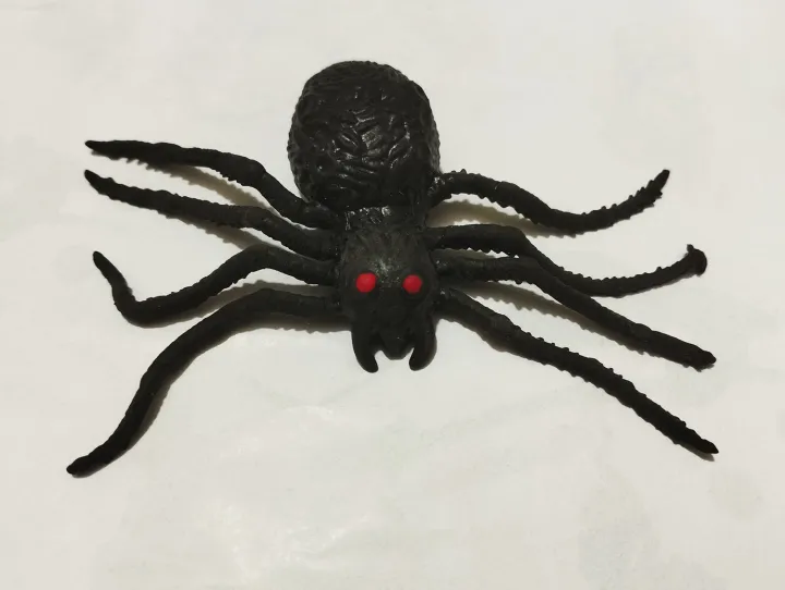 Soft%20Rubber%20Spider%20Makri%20Toy%20For%20Prank%20And%20Fun%20-%20Image%204