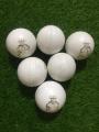 Pack of 6 six Practice Cricket Hard Ball (Synthetic Practice Hard Ball) from Royal Cricket Ball Industries. 