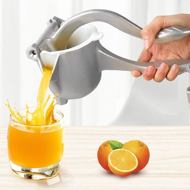 Fruits squeezer best sale