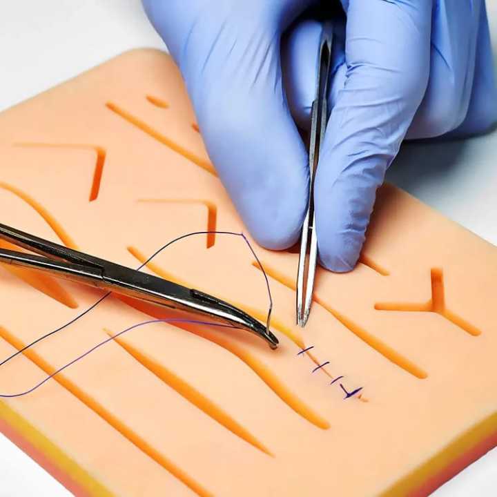 Skin Suture Training Kit Trauma Accessories for Practice and Training ...