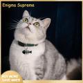 Enigma- Eye-catching Pet Tag Fish Shape Stainless Steel Pet Tag for Small Dogs Cats Engraved Name Tags for Kittens Rust-proof Corrosion-resistant Perfect. 